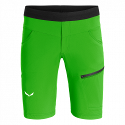 kra�asy SALEWA AGNER LIGHT DST M SHORTS 5641 PALE FROF/0910